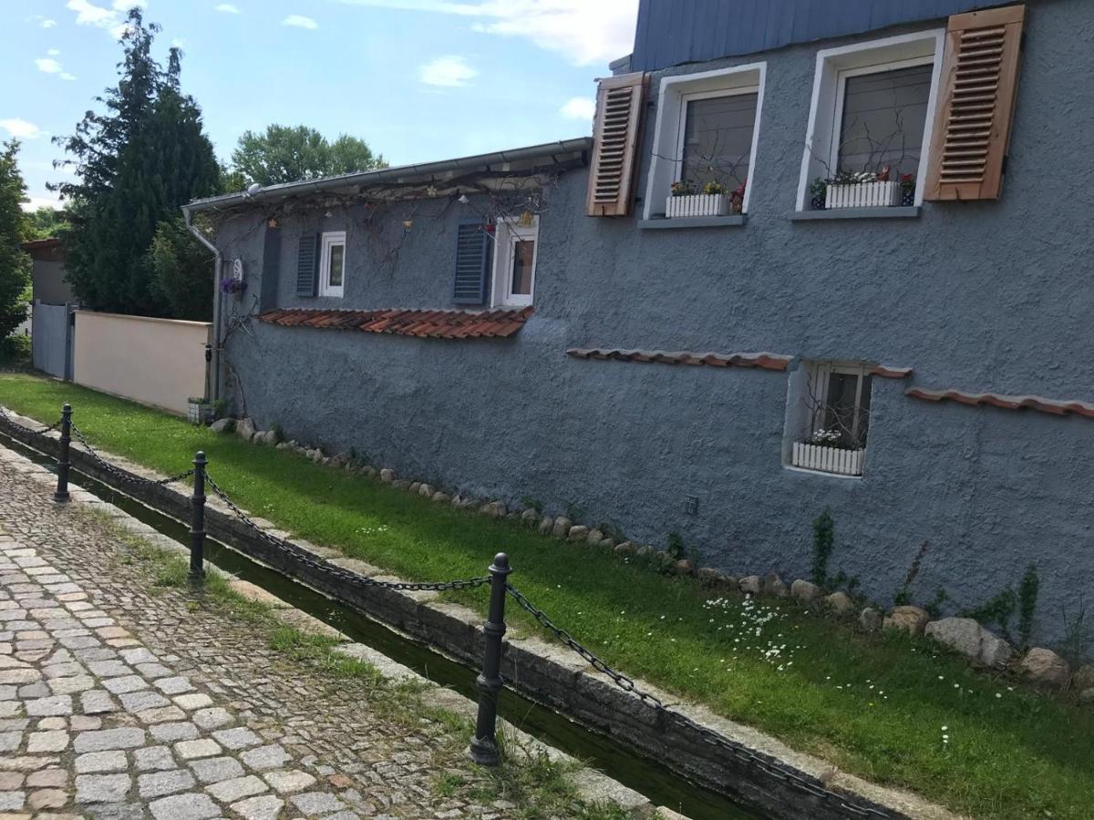 Villa Windschief Thale Zewnętrze zdjęcie